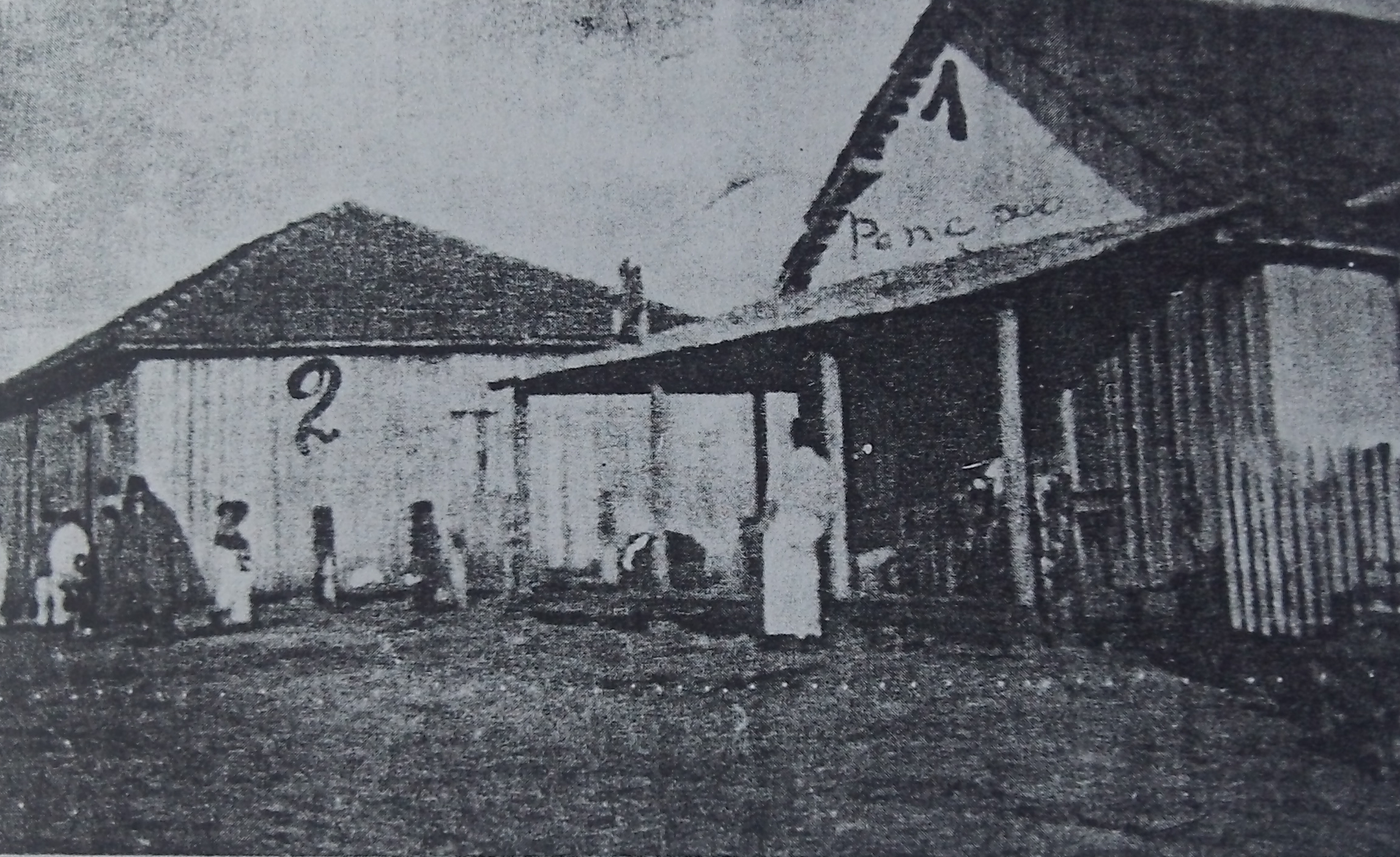 Avenida Paraná quando os jovens chegaram à colônia (Foto: Acervo da Fundação Cultural de Paranavaí)
