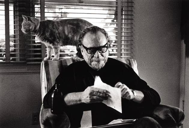 "A verdade é que é sempre bom ter um bando de gatos ao meu redor” (Acervo: Charles Bukowski)