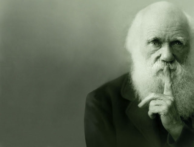 Darwin foi influenciado por Lecrerc e pelos românticos (Arte: Reprodução)